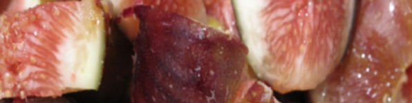 I Am Obsessed With Food